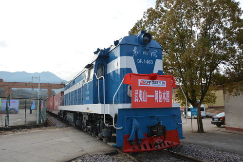 全球復蘇前景仍不確定，中國經(jīng)濟穩(wěn)定器作用凸顯——以道路貨物運輸為觀察視角